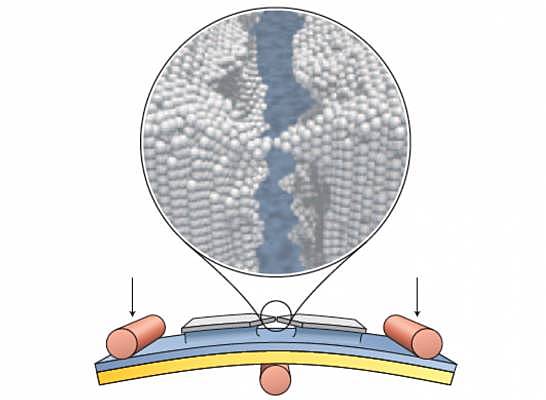 interruptor que mide el tamaño de un átomo