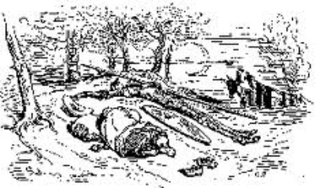 duermen en el camino