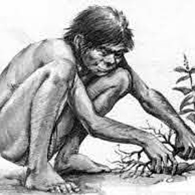 Timeline: HISTORIA DE LA MEDICINA