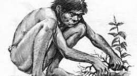 Timeline: HISTORIA DE LA MEDICINA