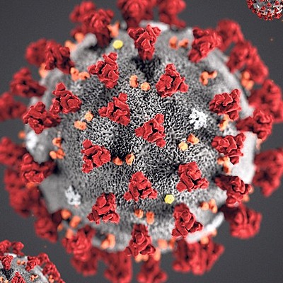 Timeline: Corona 2020