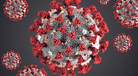 Timeline: Corona 2020