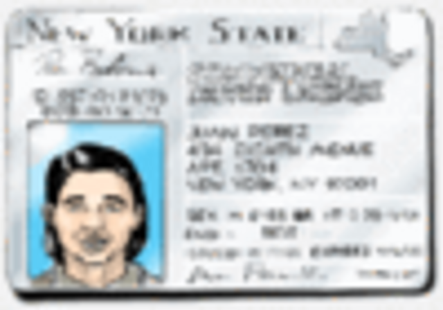 Primera Licencia de conducir