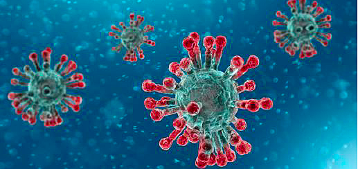 Identificación do novo virus: vén da familia dos Coronaviridae e posteriormente denominouse como SARS-CoV-2. Ten orixe animal e mutou ate afectar aos humanos.