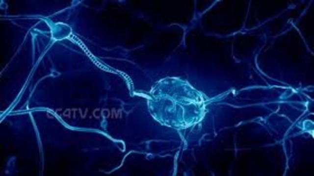 ha conquistado posiciones muy importantes en ramas científicas y tecnológicas