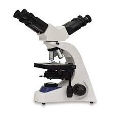 Timeline: Historia del Microscopio