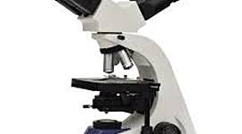 Timeline: Historia del Microscopio