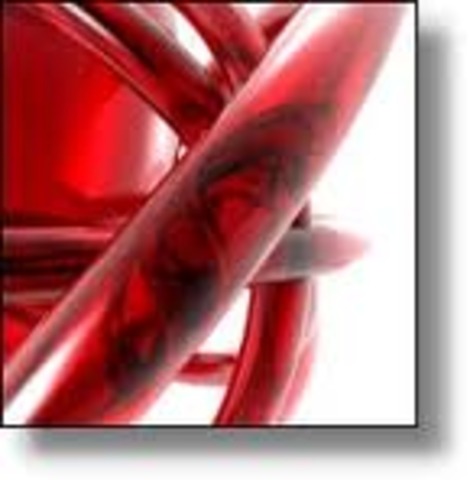 Regeneración de vasos sanguíneos