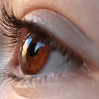 Timeline: LA MEVA VIDA