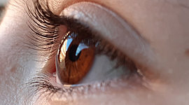 Timeline: LA MEVA VIDA