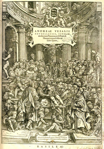 Vesalius, DE FABRICA CORPORIS HUMANI