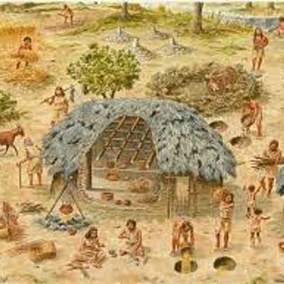 Timeline: Paola Díaz Grupo 2