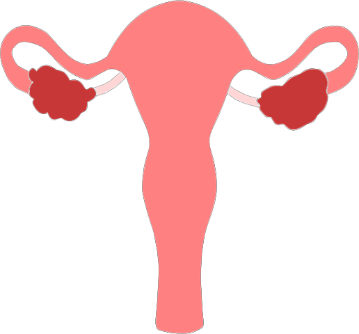 ¿Cómo se diagnostica el labio leporino?