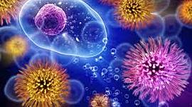 Timeline: DESCUBRIMIENTOS Y AVANCES DE LA MICROBIOLOGIA