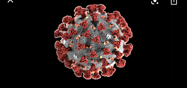 Corona Virus
