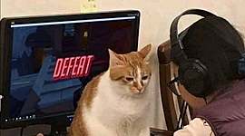 Timeline: Factores determinantes de la salud: Importancia de la prevención