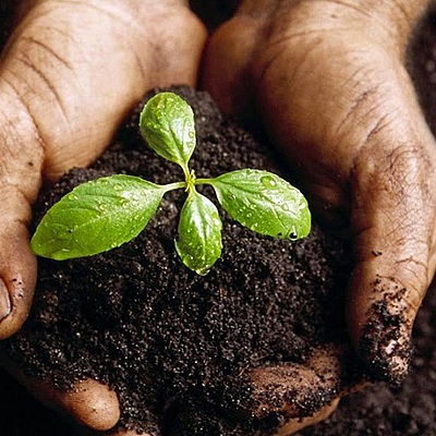 Timeline: Historia de la malerbologia