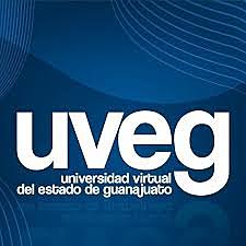 Surge la Universidad Virtual de Guanajuato