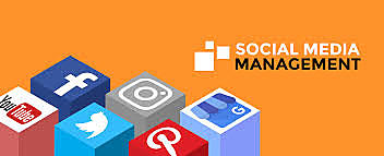SOCIAL MEDIA MANAGEMENT