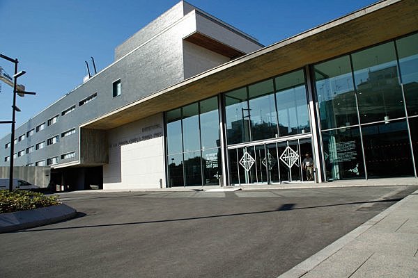 Van neixer el meus germans