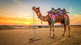 Timeline: Del món antic a l'expansió de l'islam