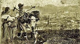 Timeline: Cambios durante la colonización Antioqueña