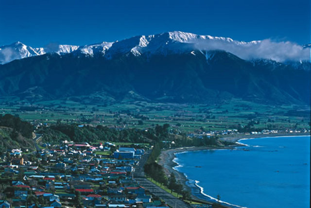 Waitangi Weekend - Kaikoura