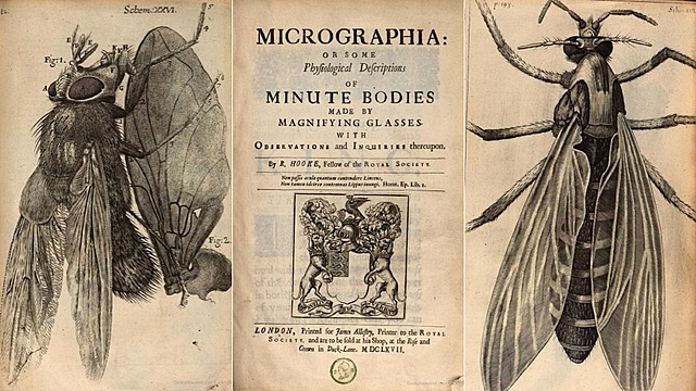 la&nbsp;Micrographia