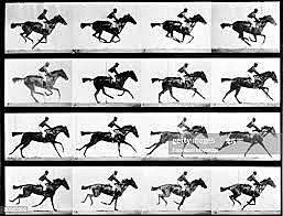 Edward Muybridge