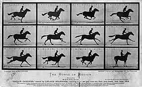 First moving pictures