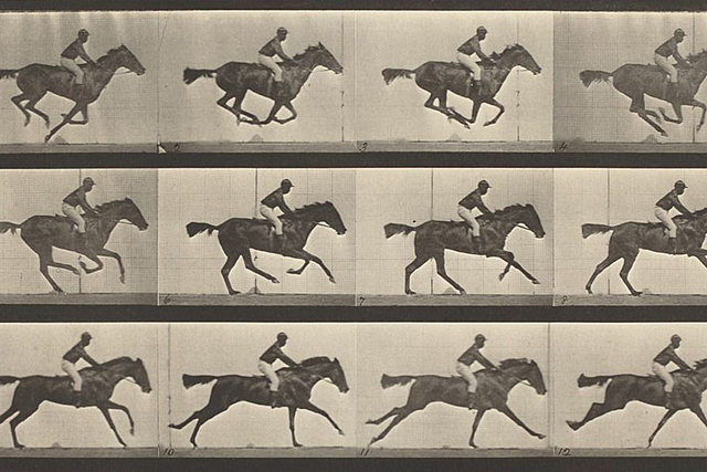 The first "Film" ever made