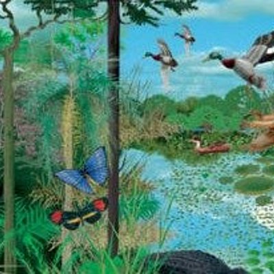 Timeline: La “evolución” de los ecosistemas