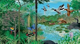 Timeline: La “evolución” de los ecosistemas