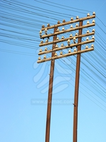 CONEXIONES TELEGRAFICAS