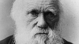 Timeline: vida de darwin