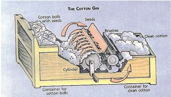 Invention of the Cotton Gin