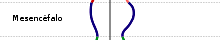 Mesencéfalo