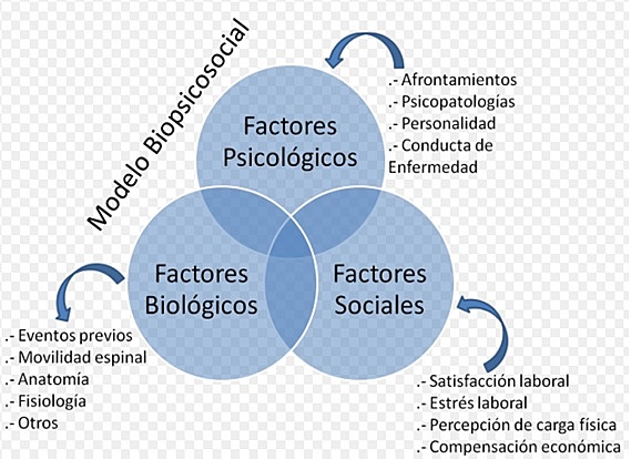 ÉXITO DEL MODELO BIOPSICOSOCIAL