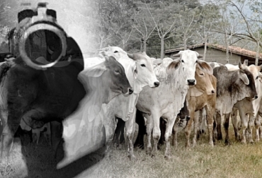 Orígenes (primer grupo de autodefensa)