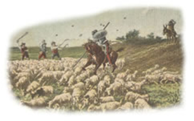 Don quijote vs las ovejas