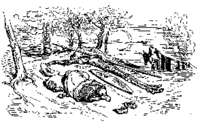 Don quijote es auxiliado.