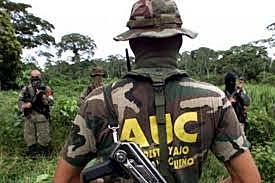 Desmovilización de la AUC