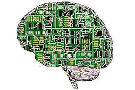 Cerebros Artificiales