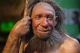 Neanderthals