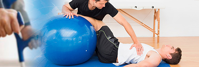 acreditación kinesiología