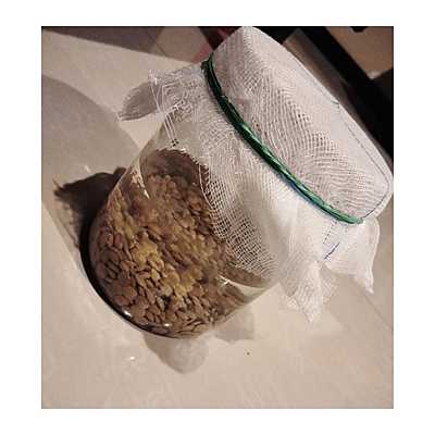 Timeline: LENTEJITA.