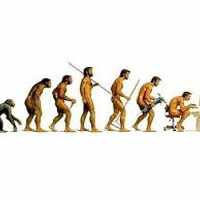 Timeline: TEORÍAS EVOLUCIONISTAS