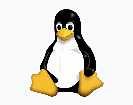 Linux Processing System