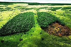 Preocupación del ambiente