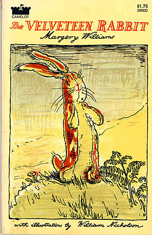 My First Chapter Book